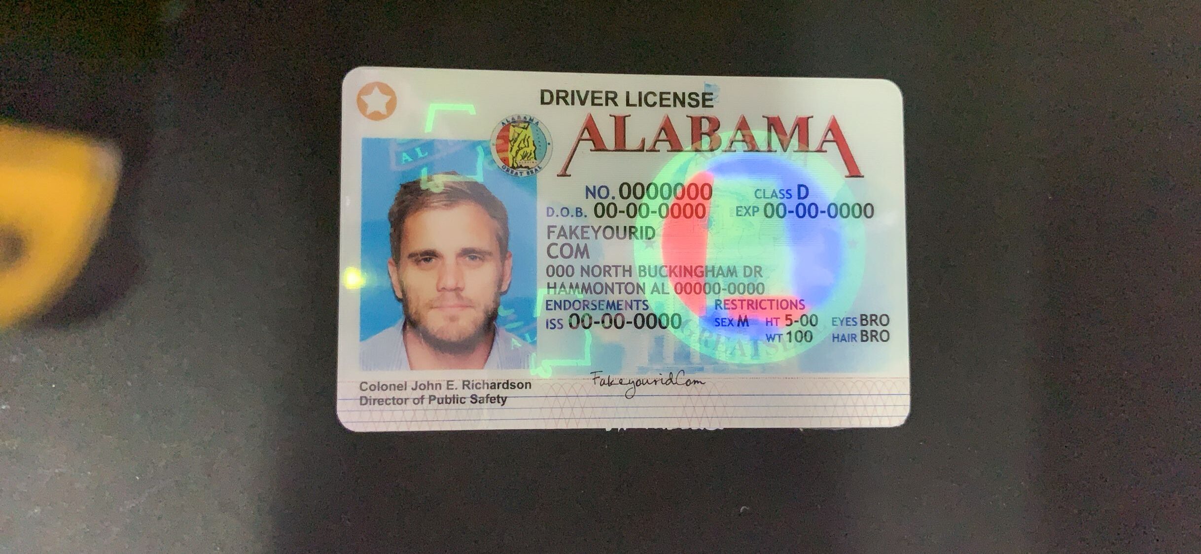 ALABAMA DRIVERS LICENSE - Image 2