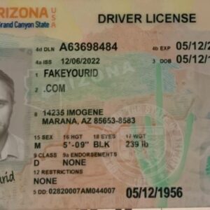 ARIZONA DRIVERS LICENSE