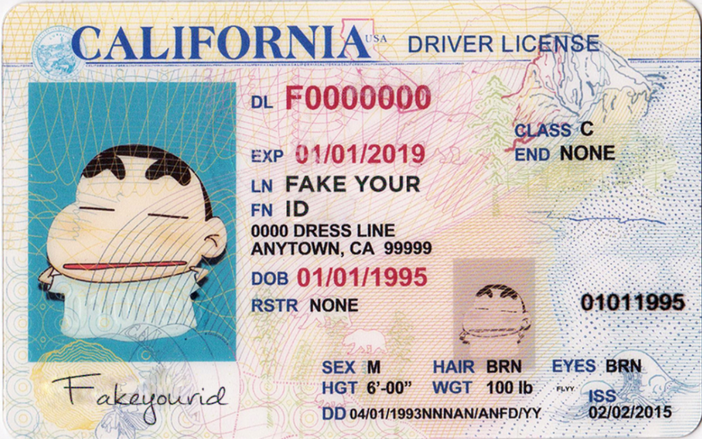 California Driver's License - Image 2