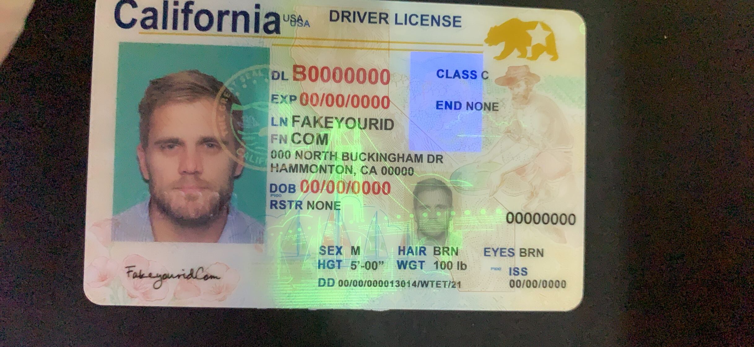 California Driver's License - Image 4