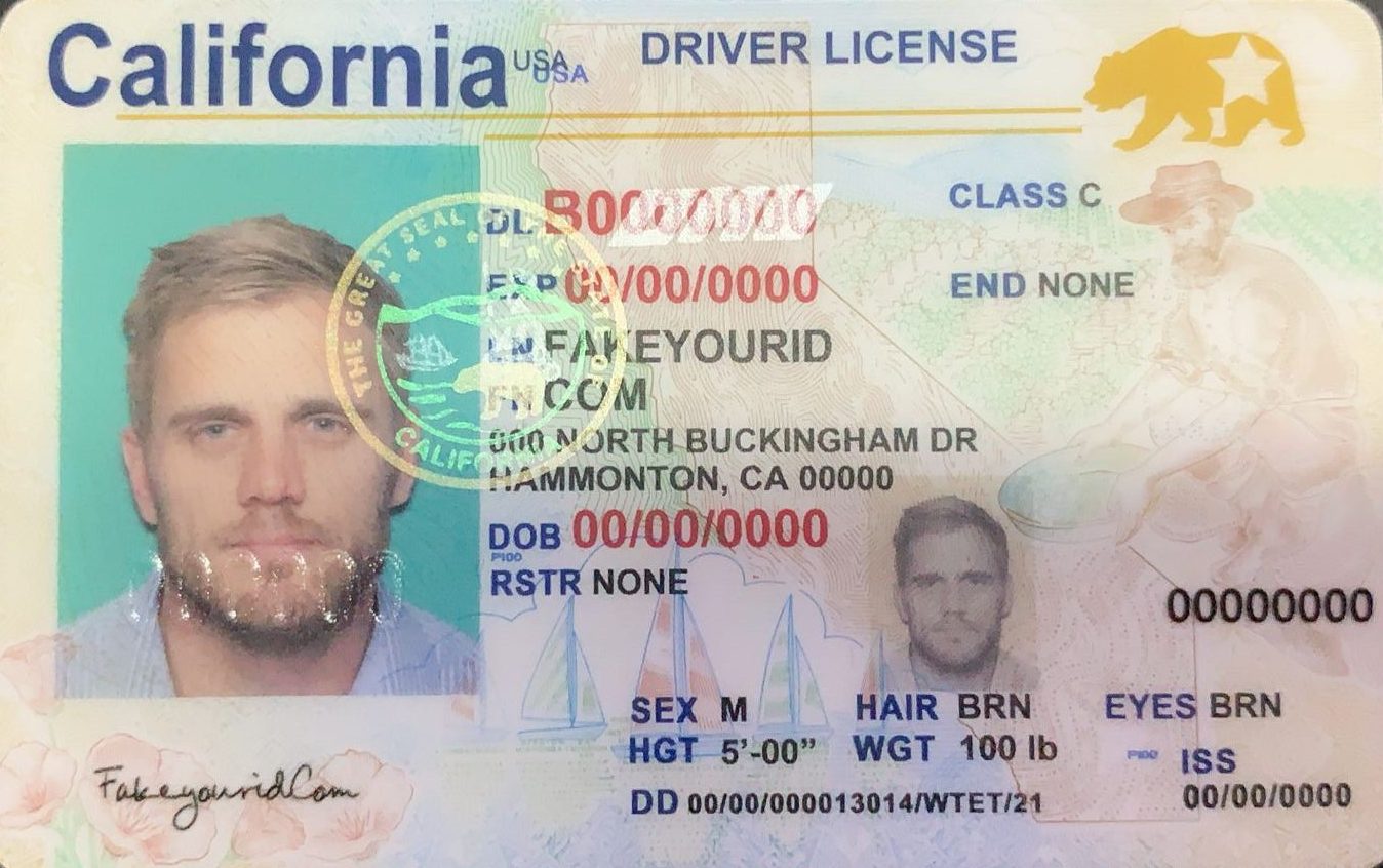 California Driver's License