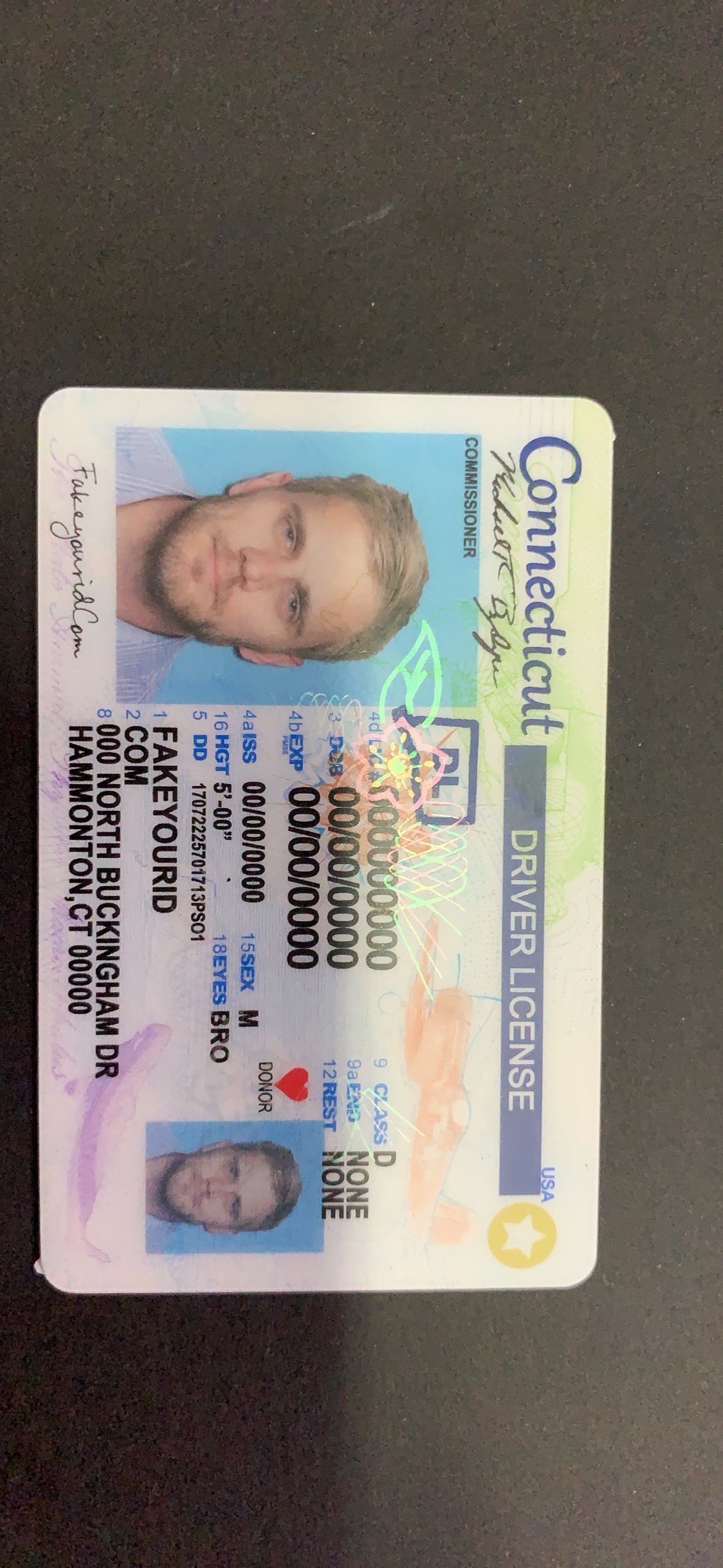 Connecticut Drivers License - Image 2