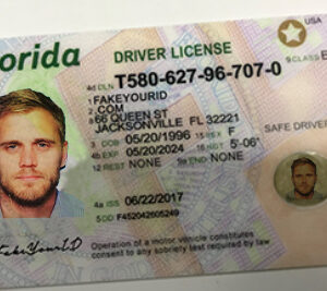 Florida Drivers License