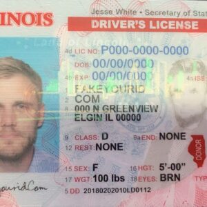 Illinois  Fake ID