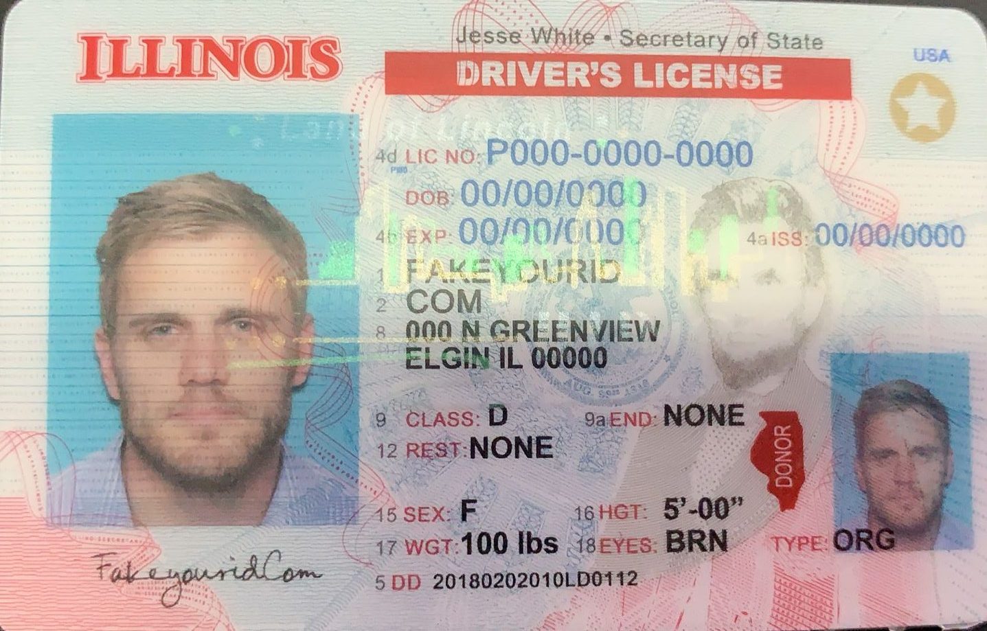 Illinois Fake ID